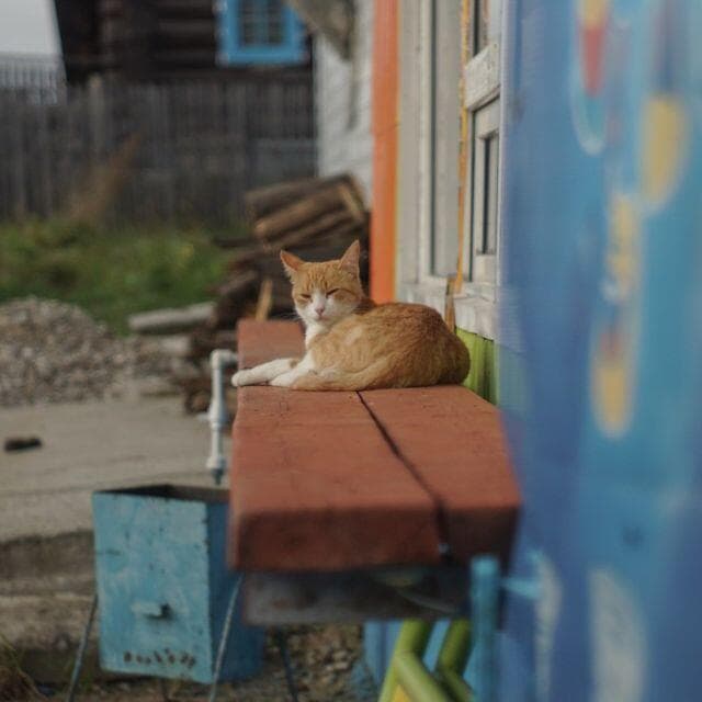 105 　未使用　デッドストック　ジュピター 8 　2/50 L39アダプター付