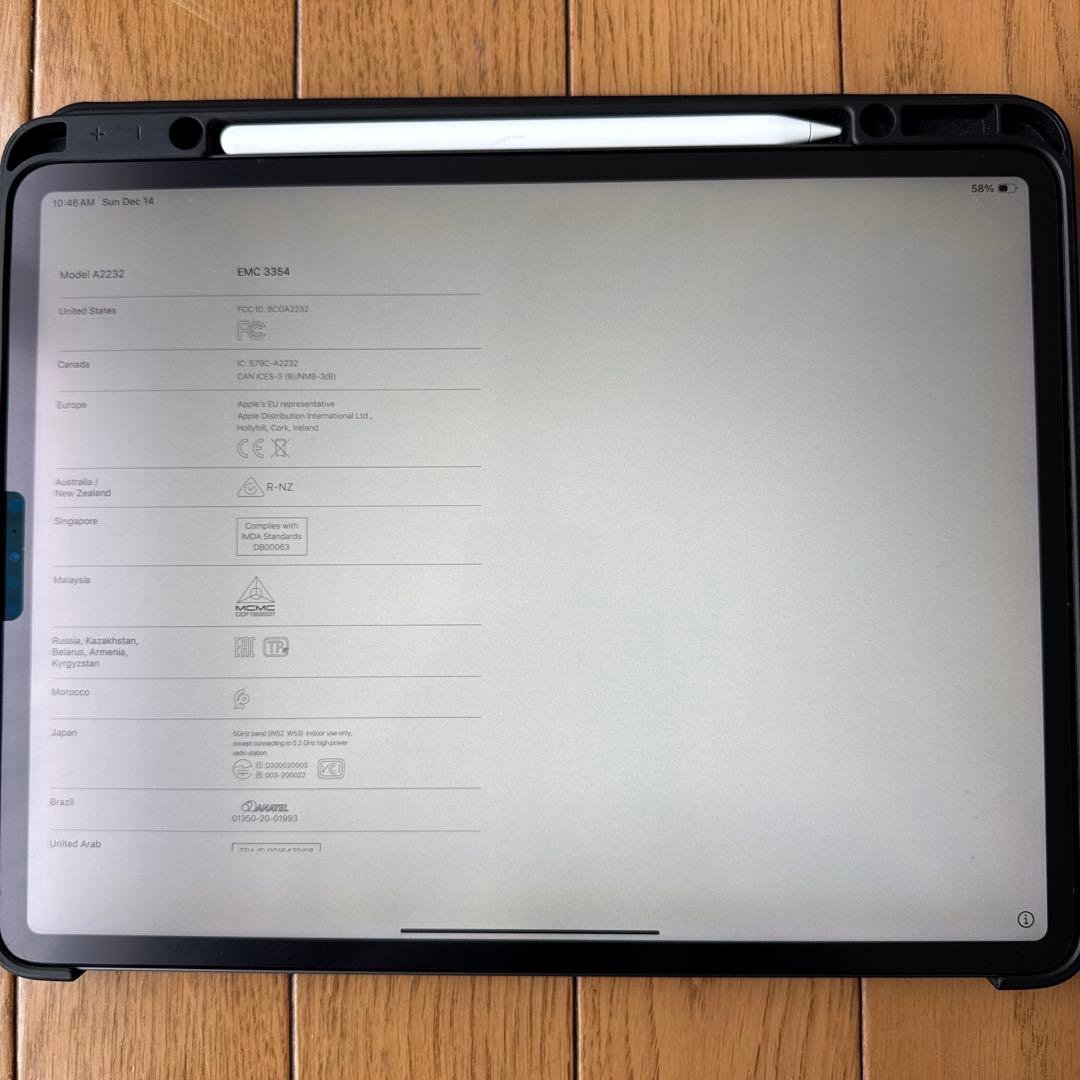 【美品】iPad Pro 12.9 Wi-Fi+Cellular 1T
