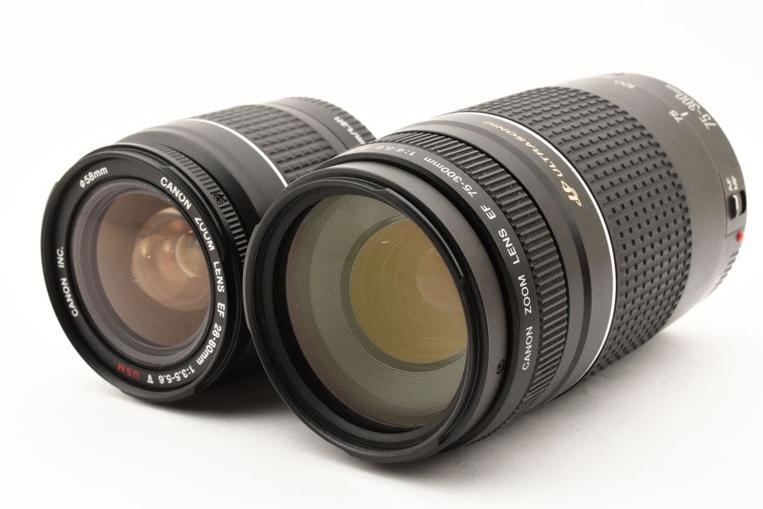 一眼レフCanon EOS 6D mark II標準&望遠ダブルレンズセット