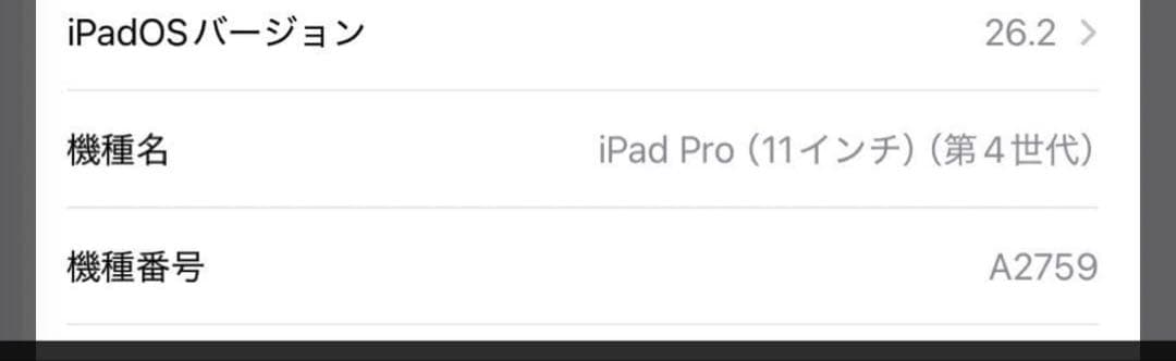iPadPro11インチ第4世代128GB WiFiモデル