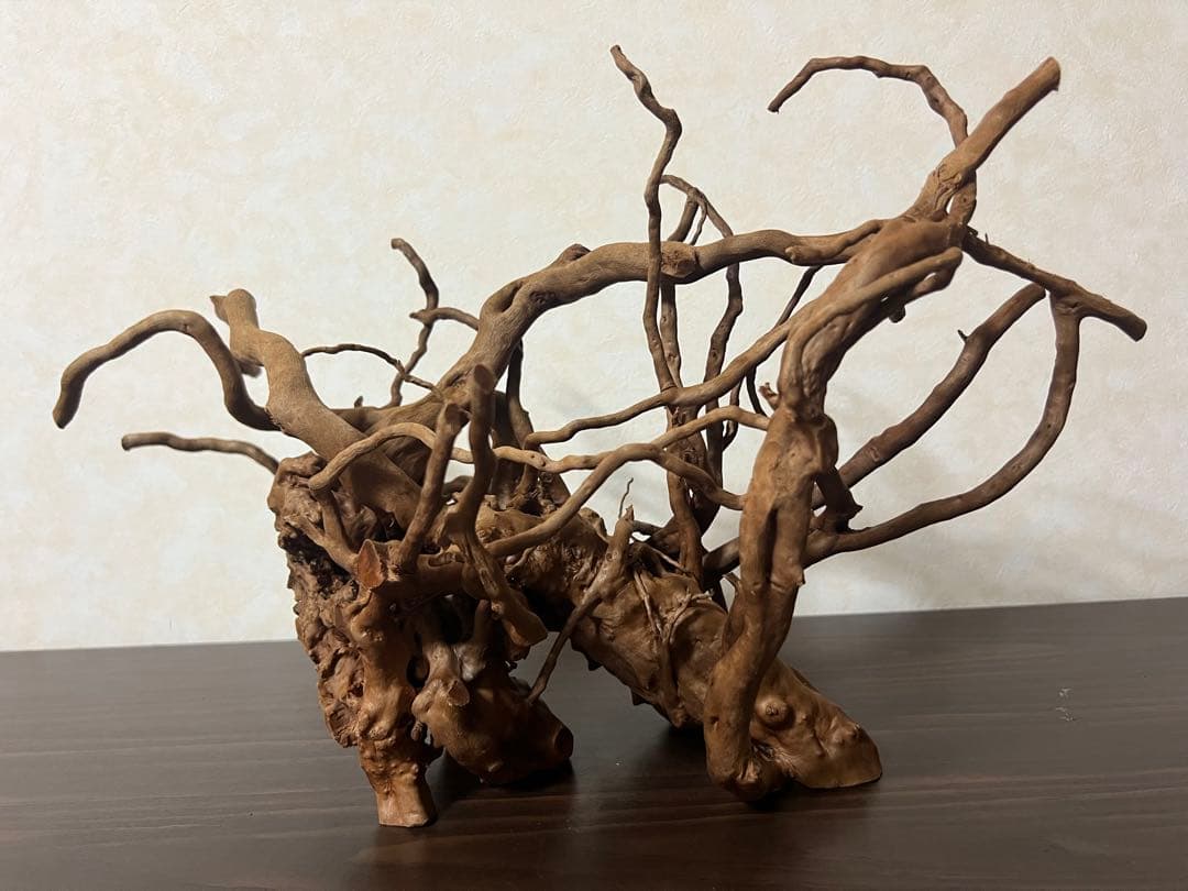 51608 ブランチウッド　流木　アクアリウム 沈水確認済