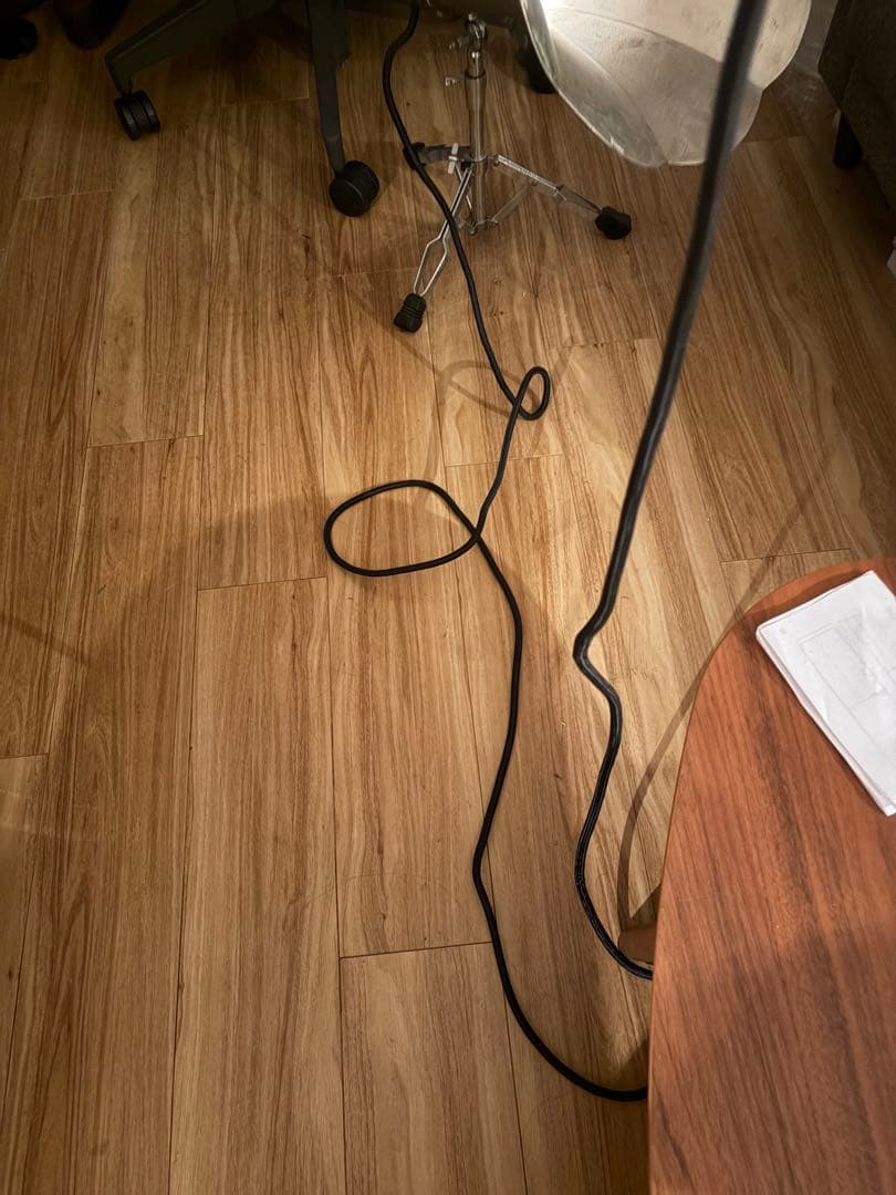 希少　ペンダントライト　フロアライト　ヴィンテージ　アンティーク　1950s