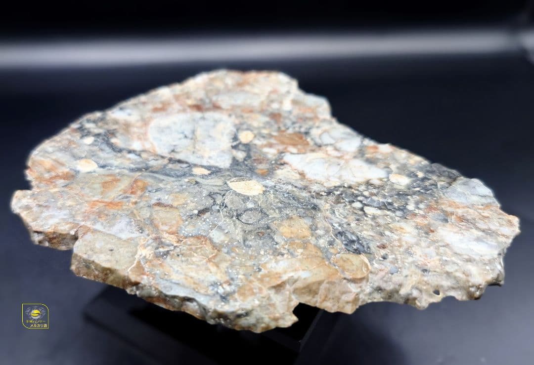 ⭐隕石 月隕石 NWA 18045 ✨ 47.3g ⭐