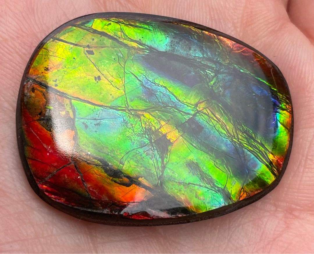 【期間限定セール】アンモライト レインボーカラー ルースストーン