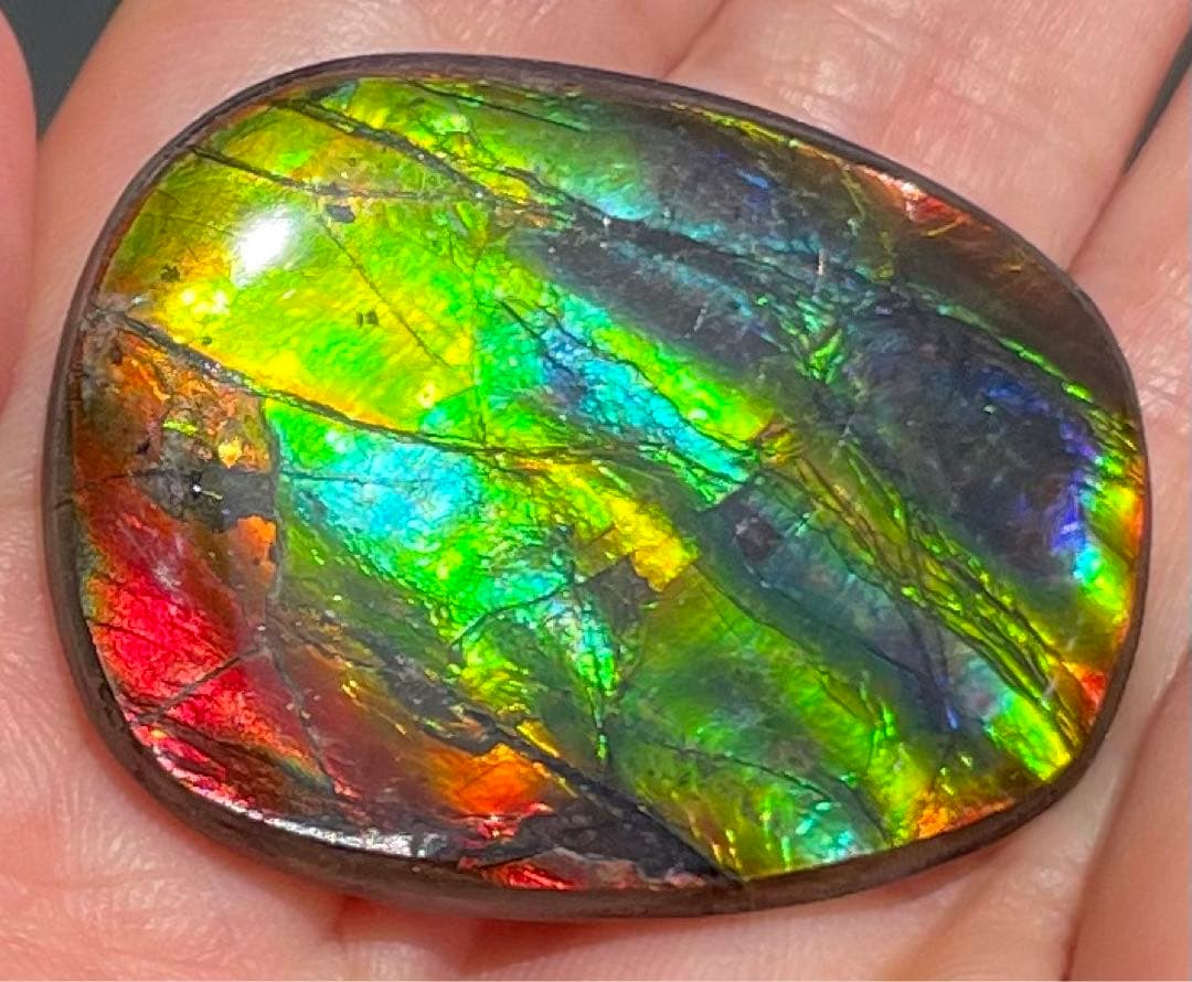 【期間限定セール】アンモライト レインボーカラー ルースストーン