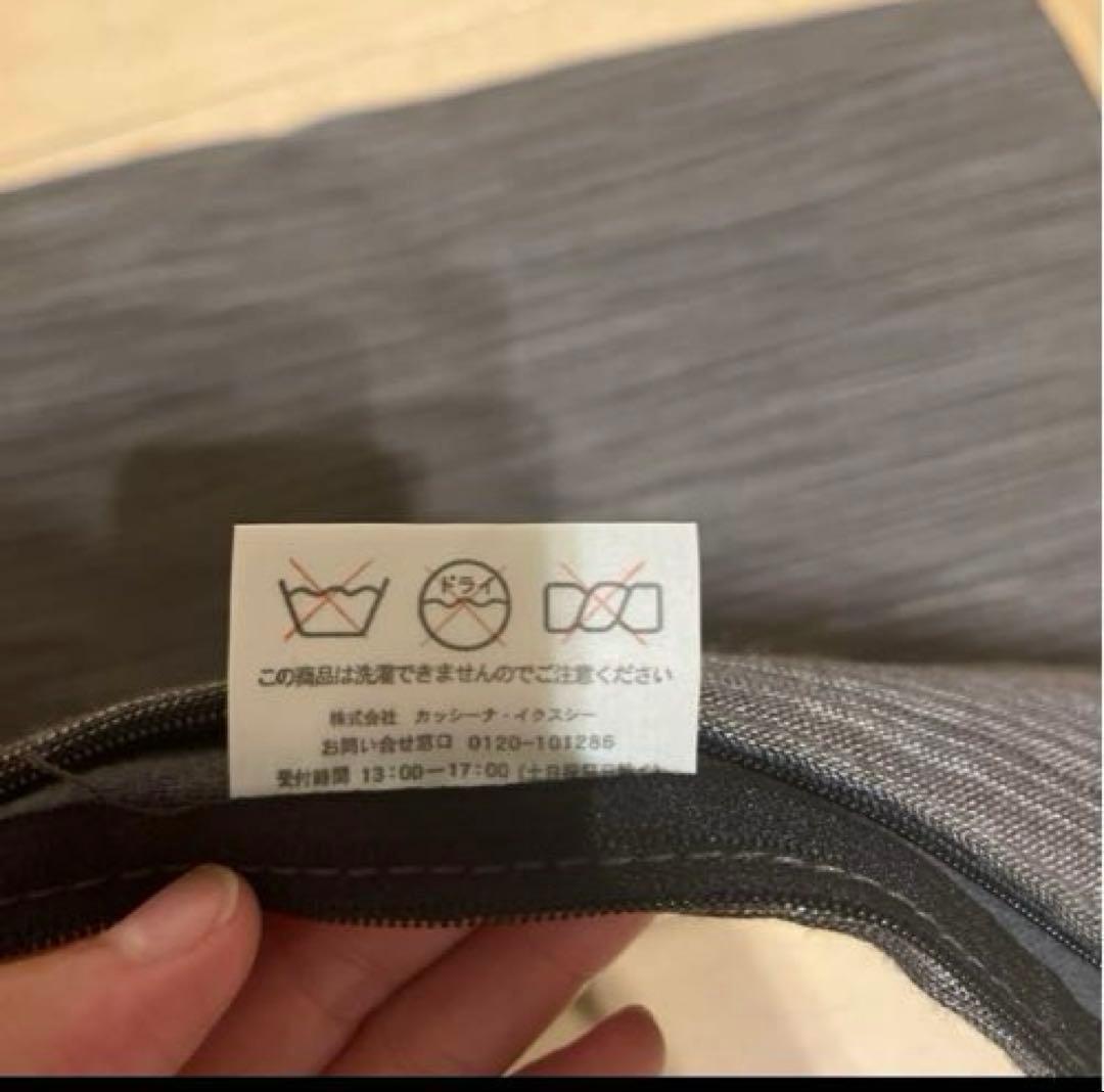 カッシーナ　イクスシー　クッションカバー　2枚セット