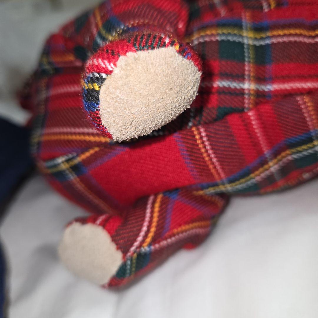 き*り様 ファジーネーション　ダックスフント　　バック