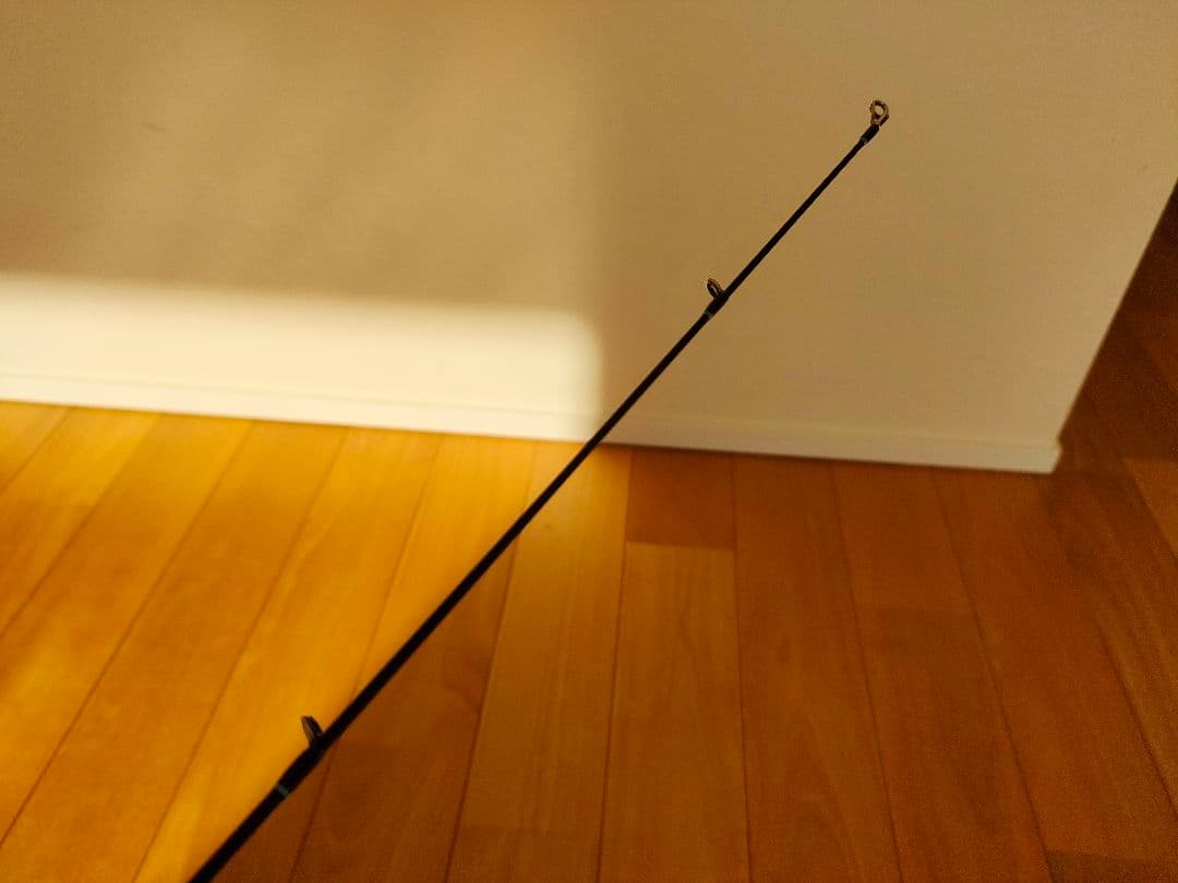 Shady Spin バスロッド　slang