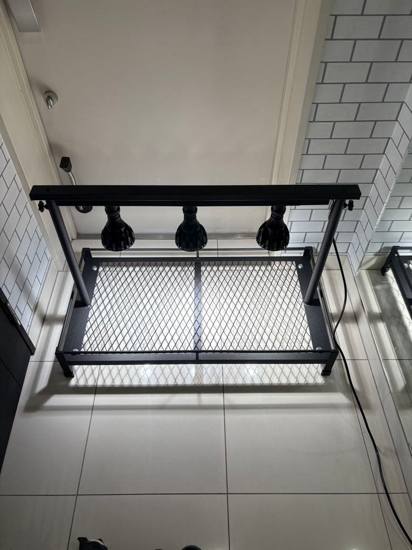 ①ミニ植物棚　卓上植物棚　アガベ　シーザー　ハデス　パキプス　塊根　グラキリス