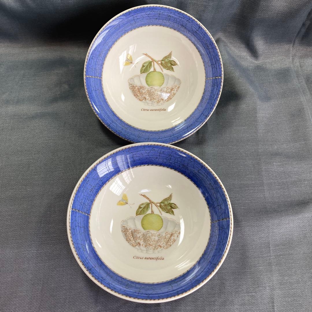 oreoサラズガーデン　カップ＆ソーサー　サラダソーサー　パスタディッシュ