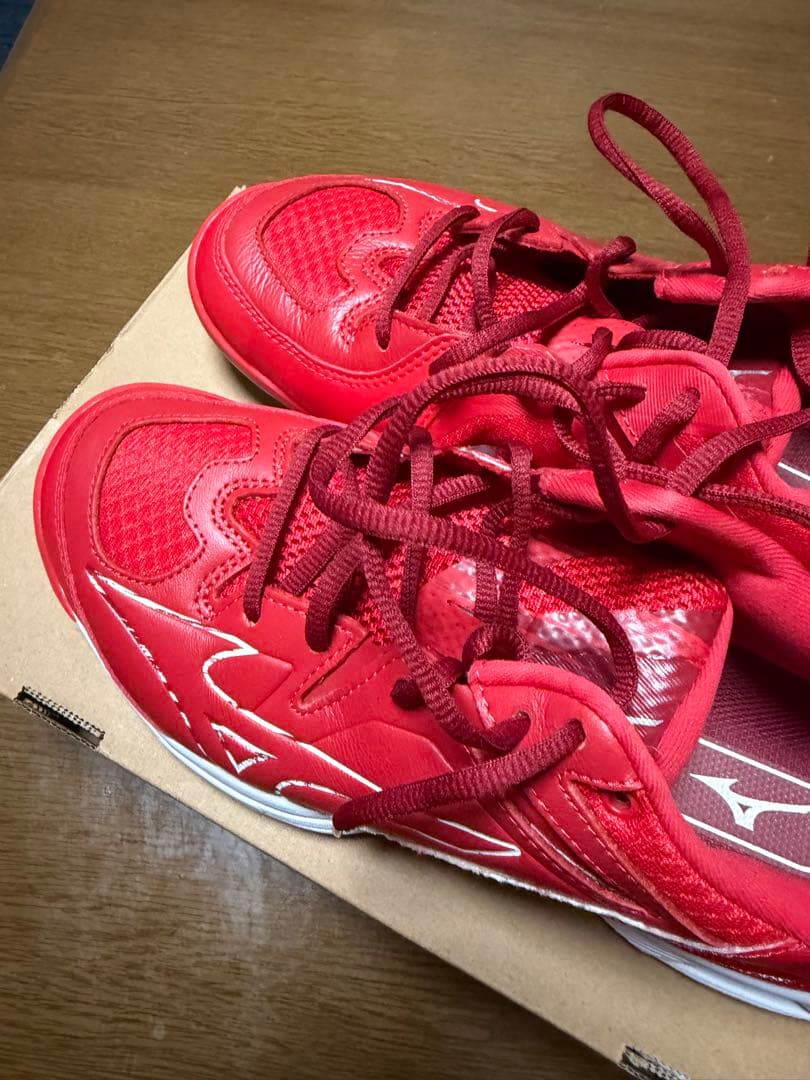 ミズノ バドミントンシューズ BDSS 25.5