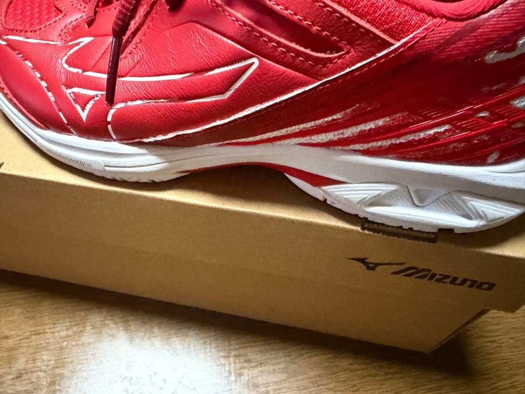 ミズノ バドミントンシューズ BDSS 25.5