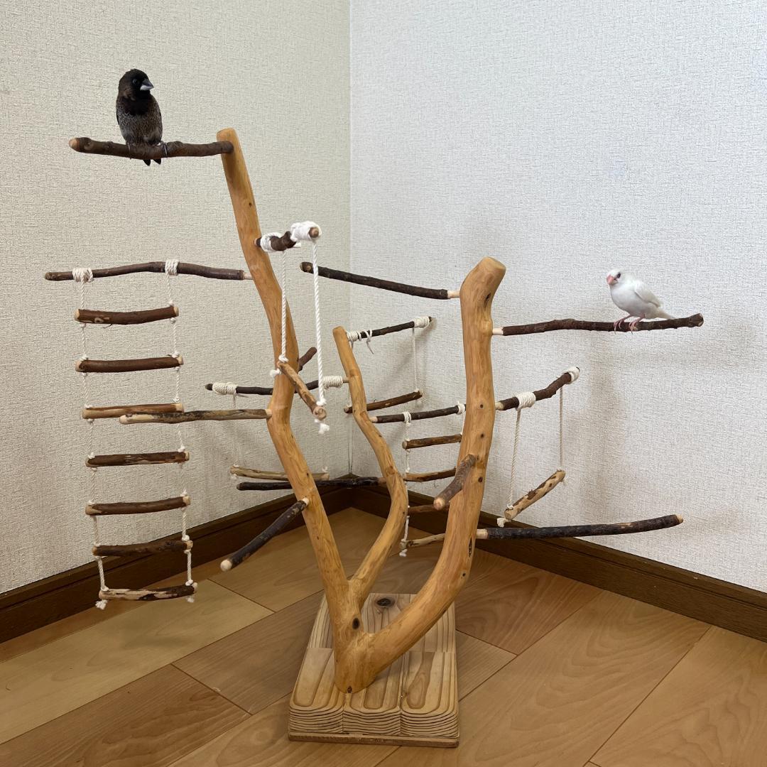 【小鳥用】あちこちブランコ&はしご付♬バードジム