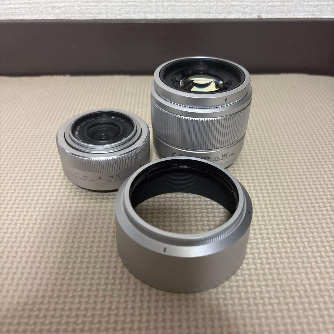 PANASONIC パナソニック　LUMIX DC-GF9W ダブルズーム