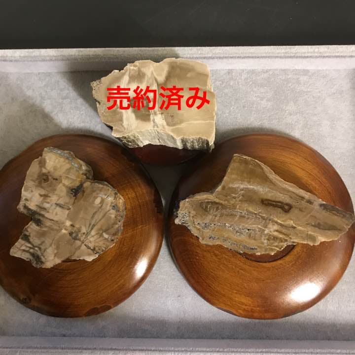 ★特選一品★希少レア✴︎木の化石♦️【ペトリファイドウッド珪化木ブレス&原石】♡