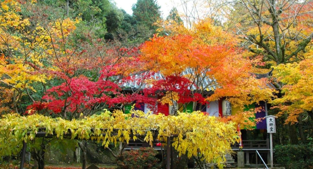 NIKON　D70　初心者⚡️広角から望遠まで　一眼レフ⚡️ニコン⚡️望遠