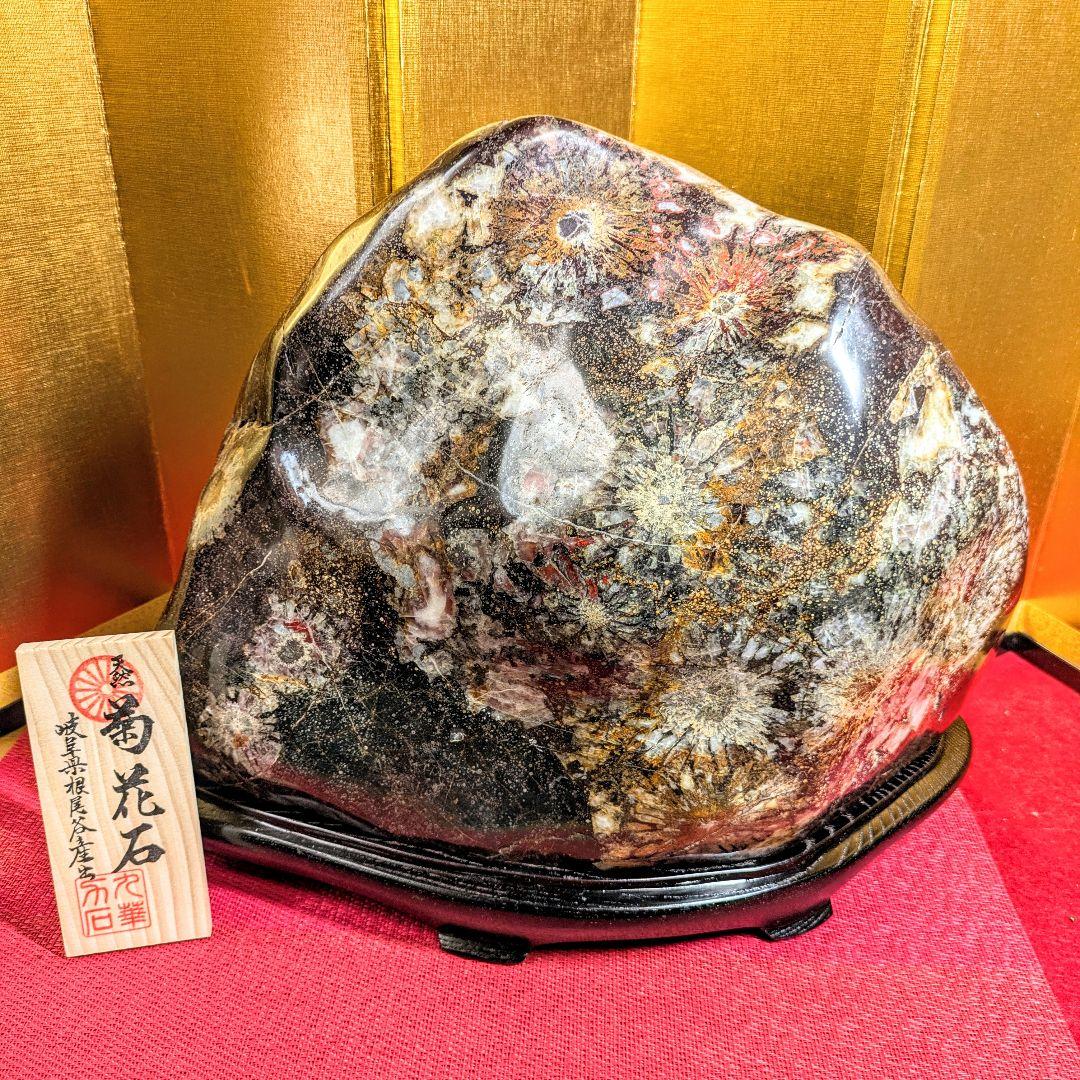 菊花石 岐阜県根尾谷産16.2㌔ 鑑賞石 観賞石 水石 盆石 天然石 置物 家宝