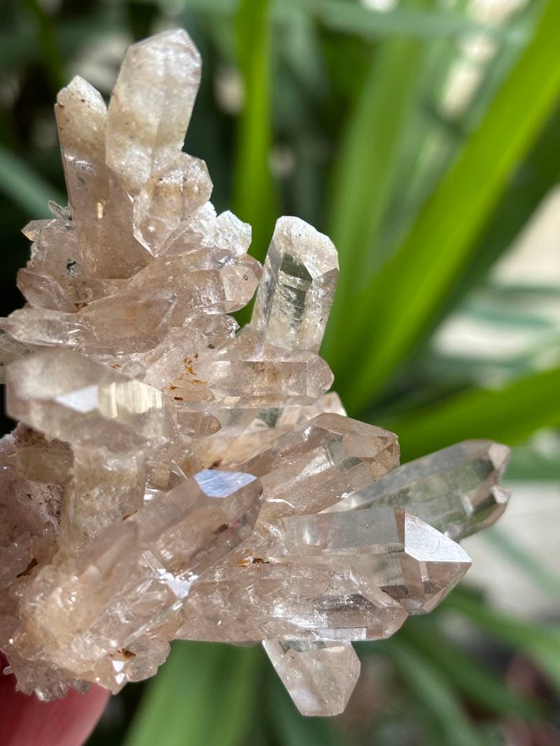 インド　マニカラン　サマディクォーツクラスター　145g ブーケのよう　天然石