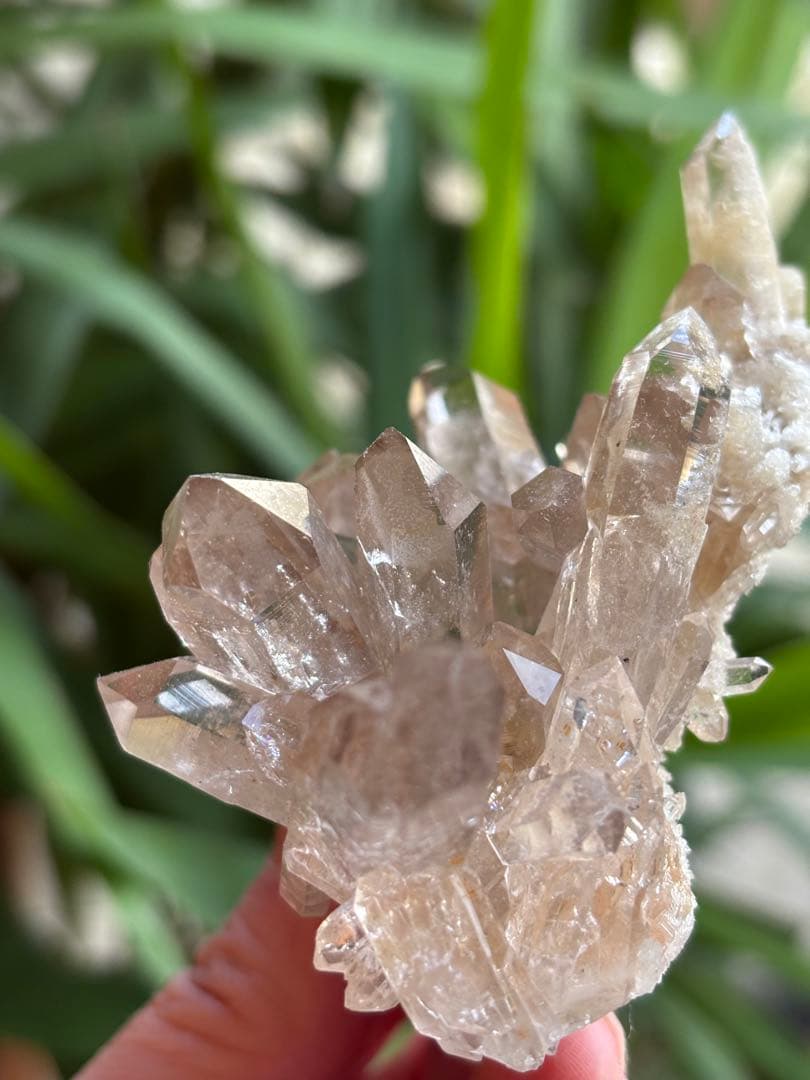 インド　マニカラン　サマディクォーツクラスター　145g ブーケのよう　天然石