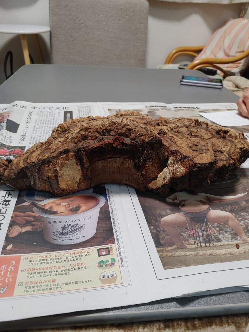 サルノコシカケ　天然物　大きいです。３個まとめて　漢方　インテリア