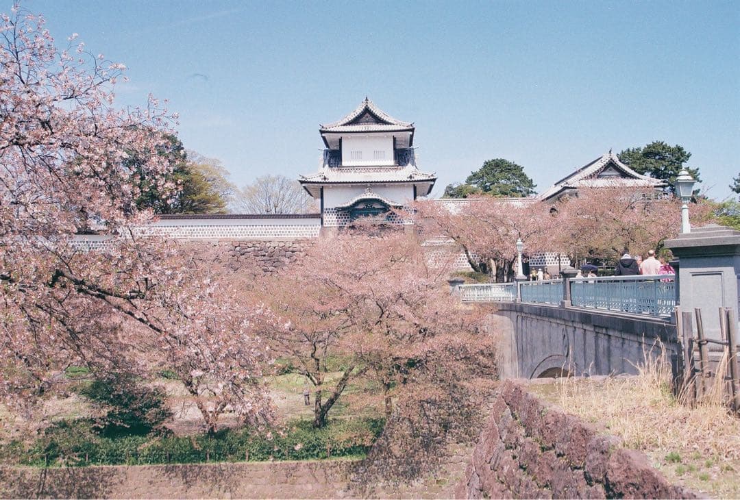 試写済み　取説新品　Canon EOS 7Sフイルムカメラ　視線入力