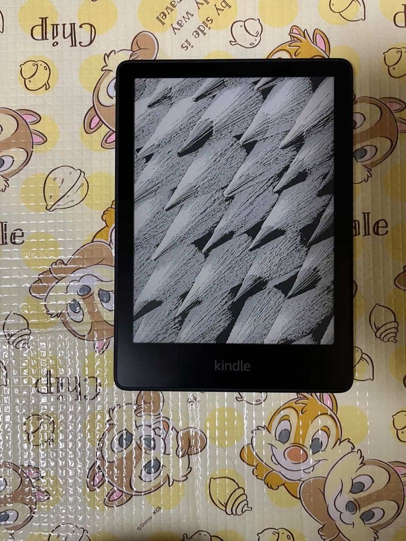 Kindle Paperwhite 第11世代 8GB 本体 カバー付 広告なし