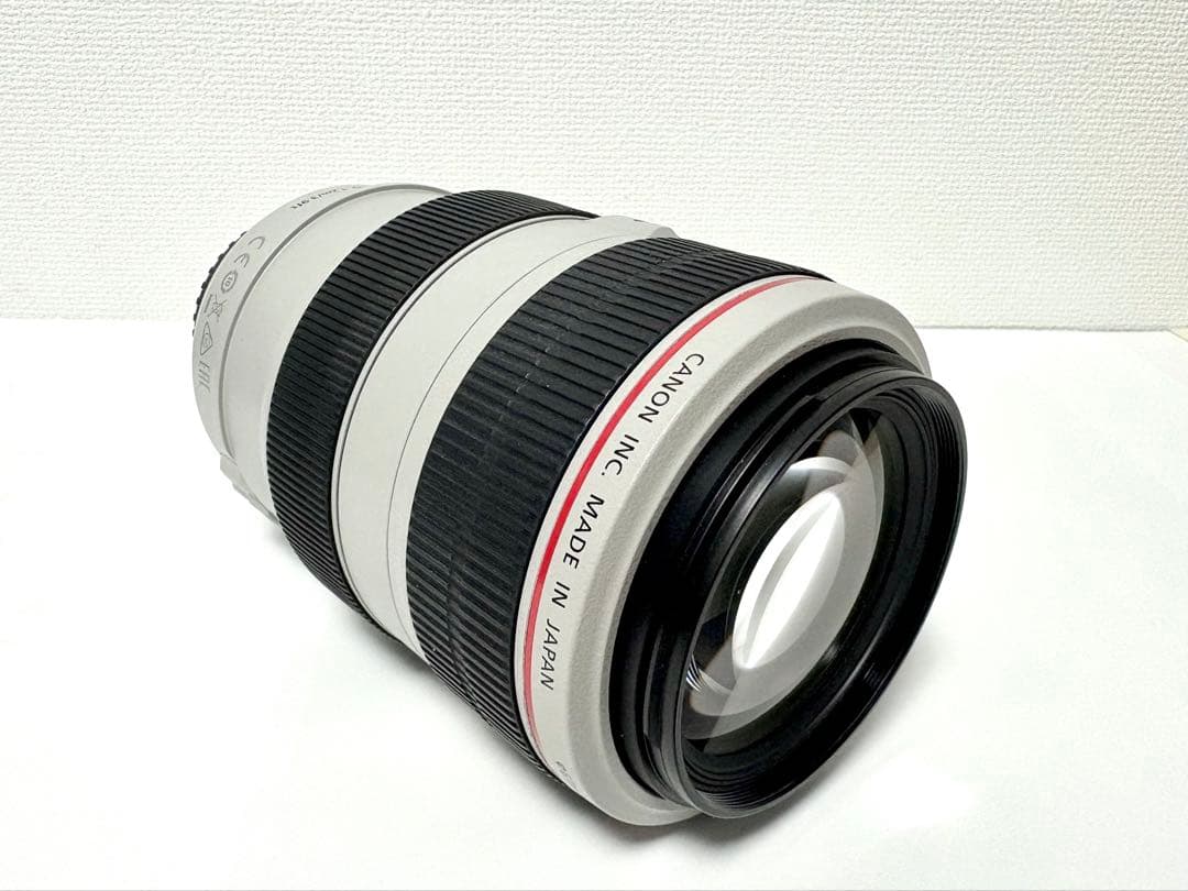 Canon EF 70-300mm f/4-5.6L IS USM ズームレンズ