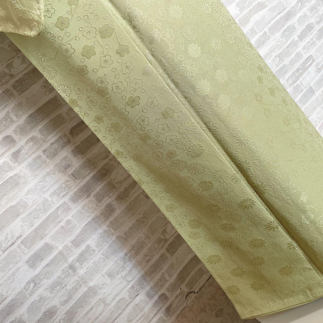 色無地　フルセット　菊　梅　地紋　難あり　練習用　シンプル　礼装　着物　I2