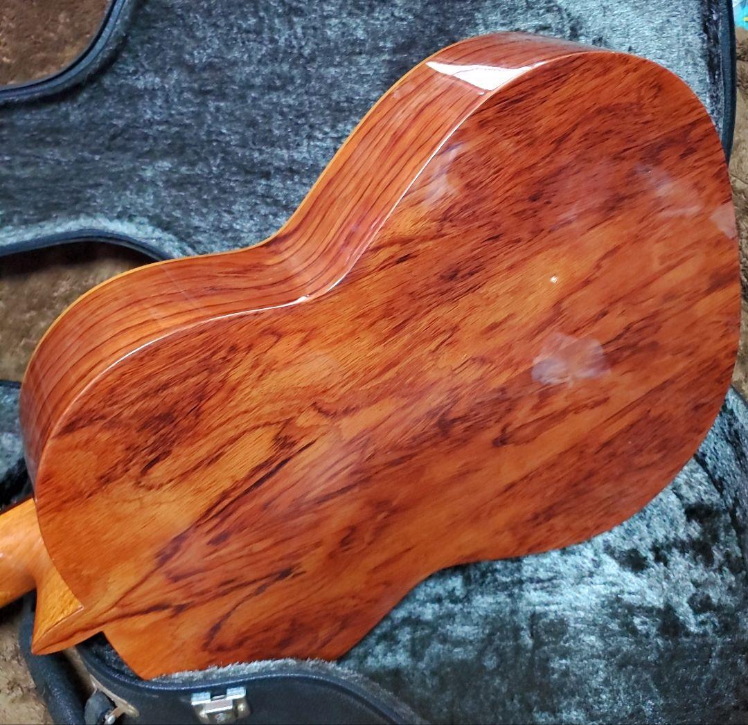 アントニオ・サンチェス ANTONIO SANCHEZ S-20 フラメンコ