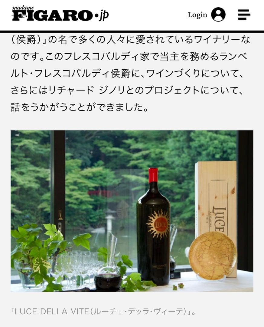 【希少品】新品　リチャードジノリ★イタリアワインLUCE★コラボ　ラージプレート