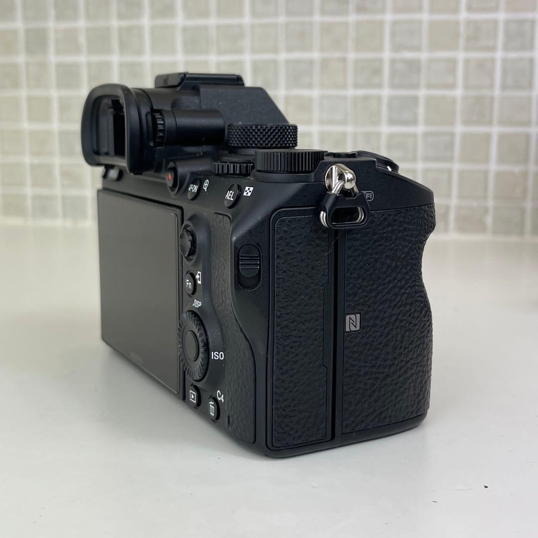 撮影枚数11877枚　SONY α7III + TAMRON 28-75mm