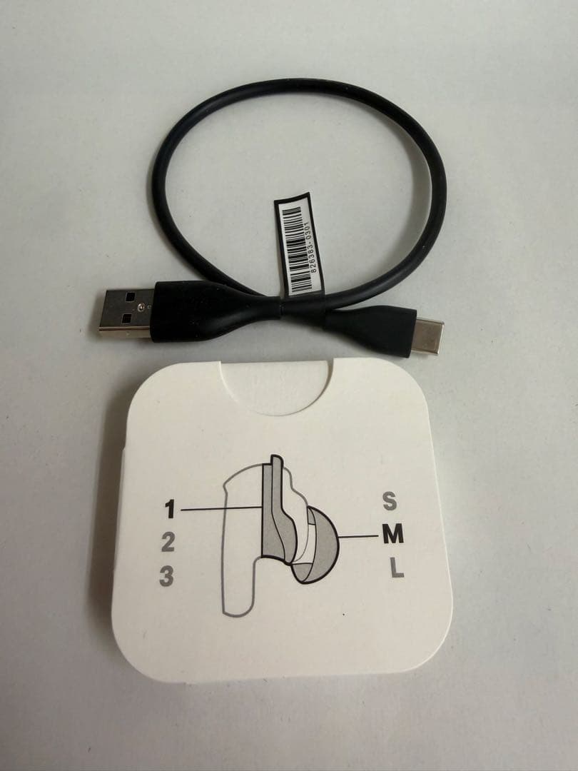 Bose QuietComfort Ultra Earbuds LE 【美品】