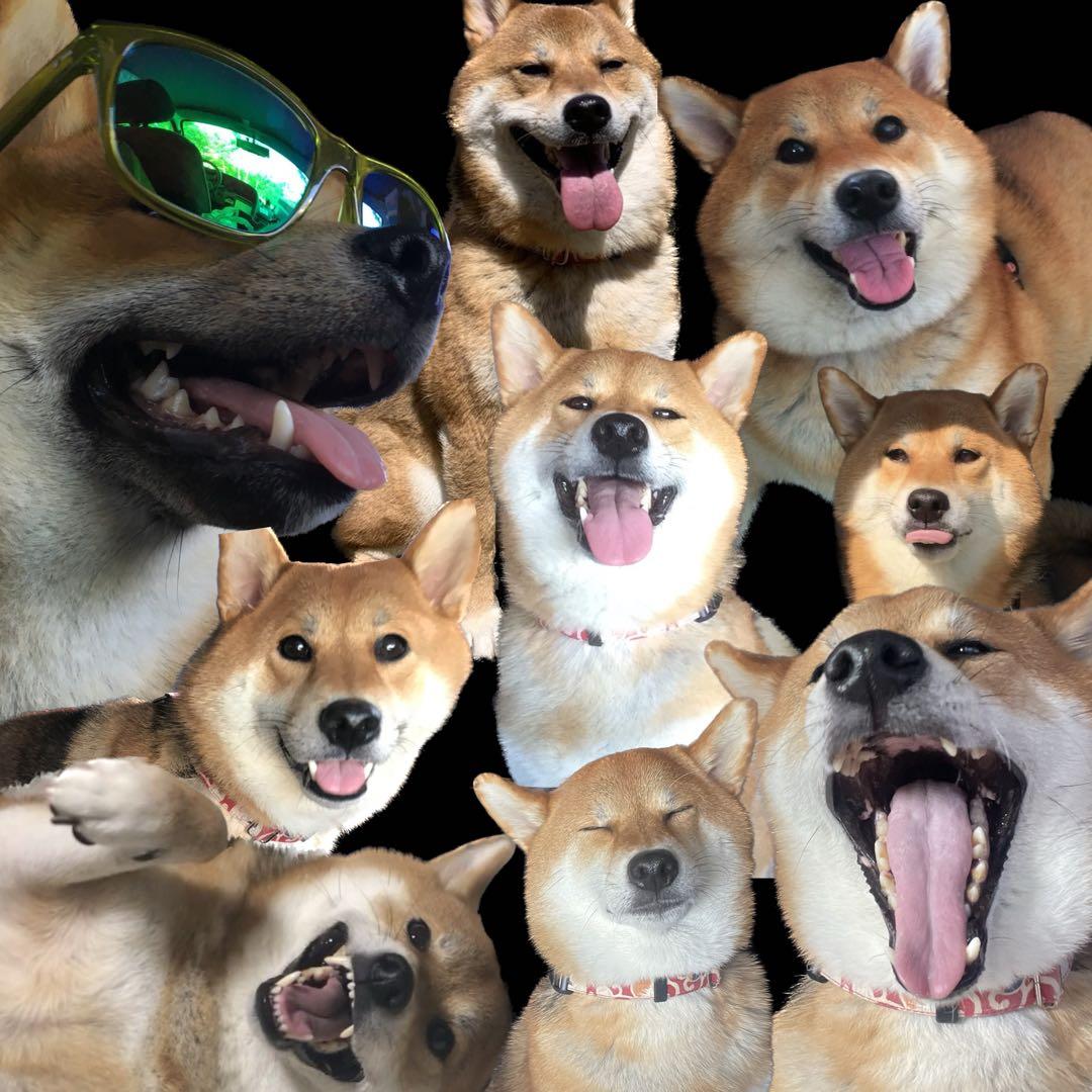 j.t95☆様ご確認用