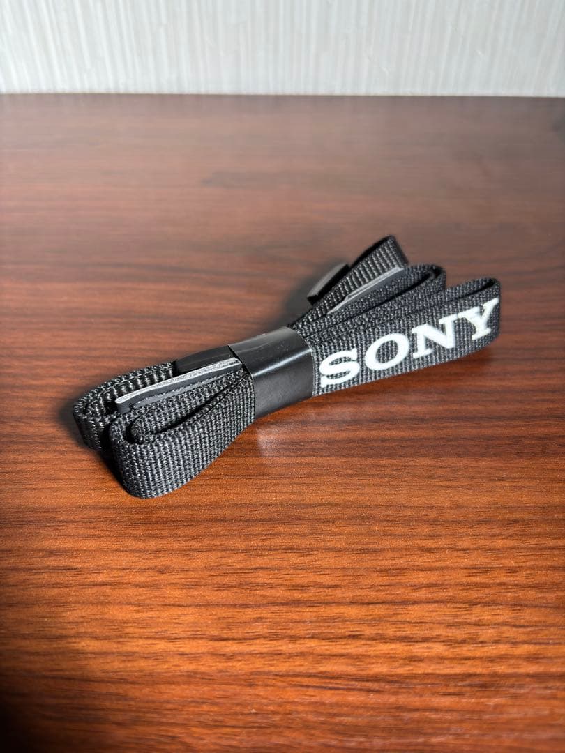 SONY ミラーレスカメラ α6100 ホワイト ダブルズームレンズセット