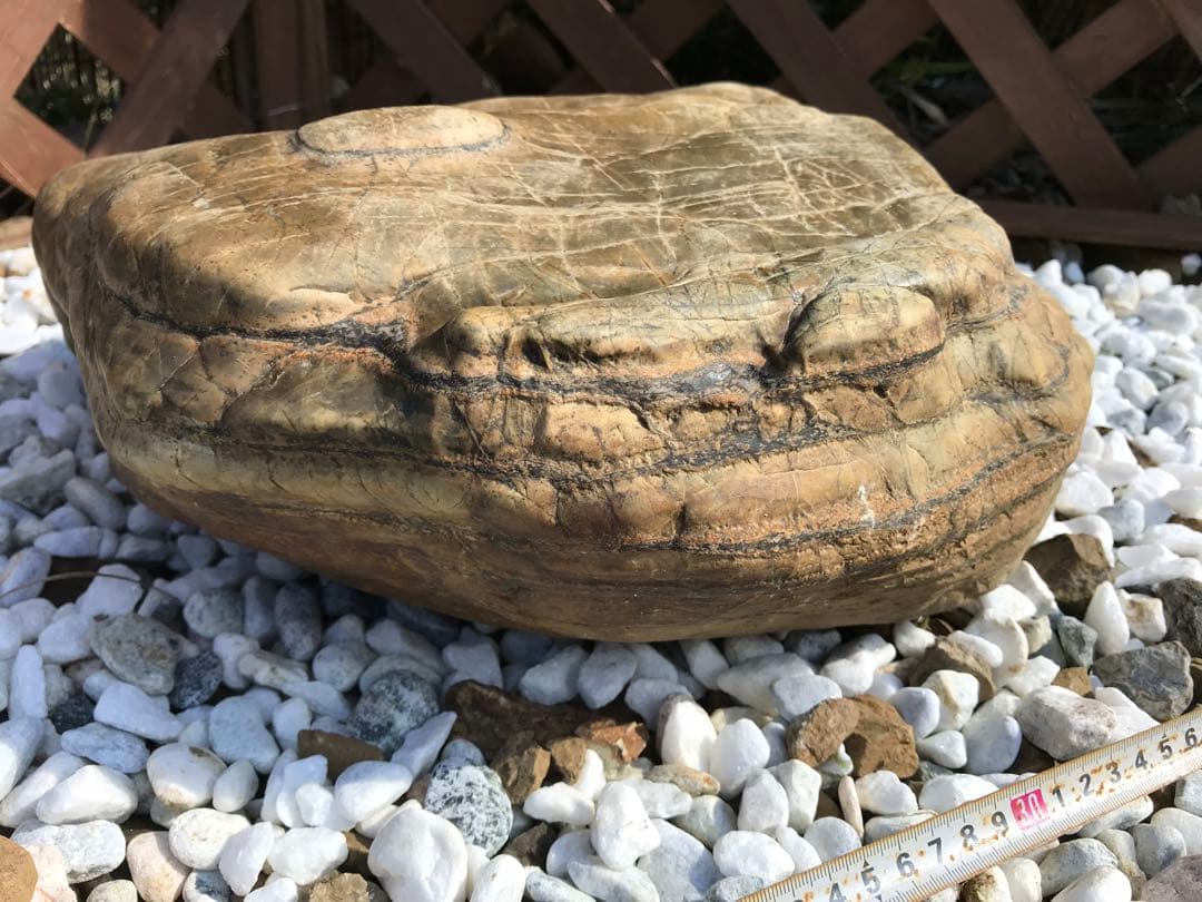 【TOなかい】瀬田川石『虎石』