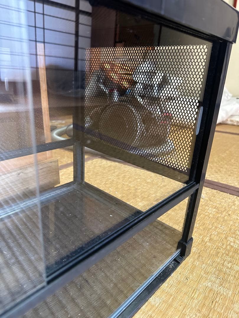 みどり商会 ケースバイケース レオパセット 発送不可