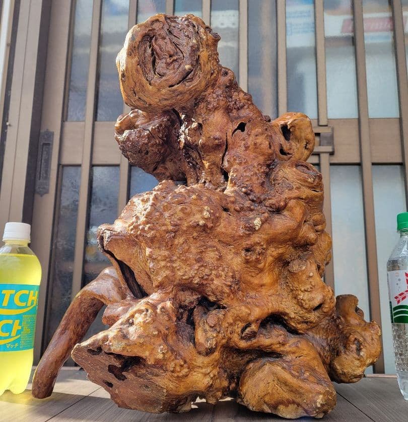 【22万円から、お正月特価に値下げしました。】流木？のオブジェ/花立/その他