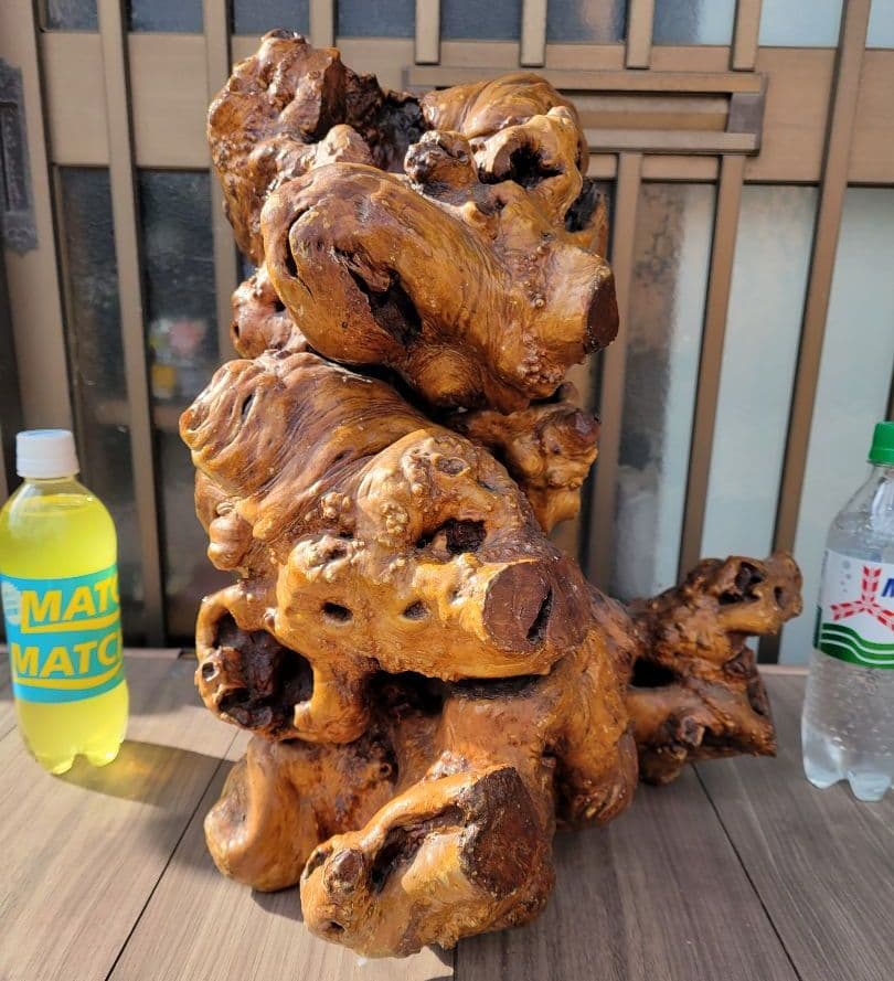 【22万円から、お正月特価に値下げしました。】流木？のオブジェ/花立/その他