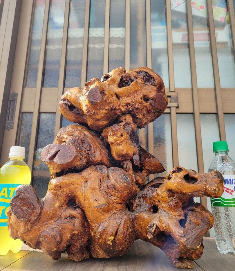 【22万円から、お正月特価に値下げしました。】流木？のオブジェ/花立/その他