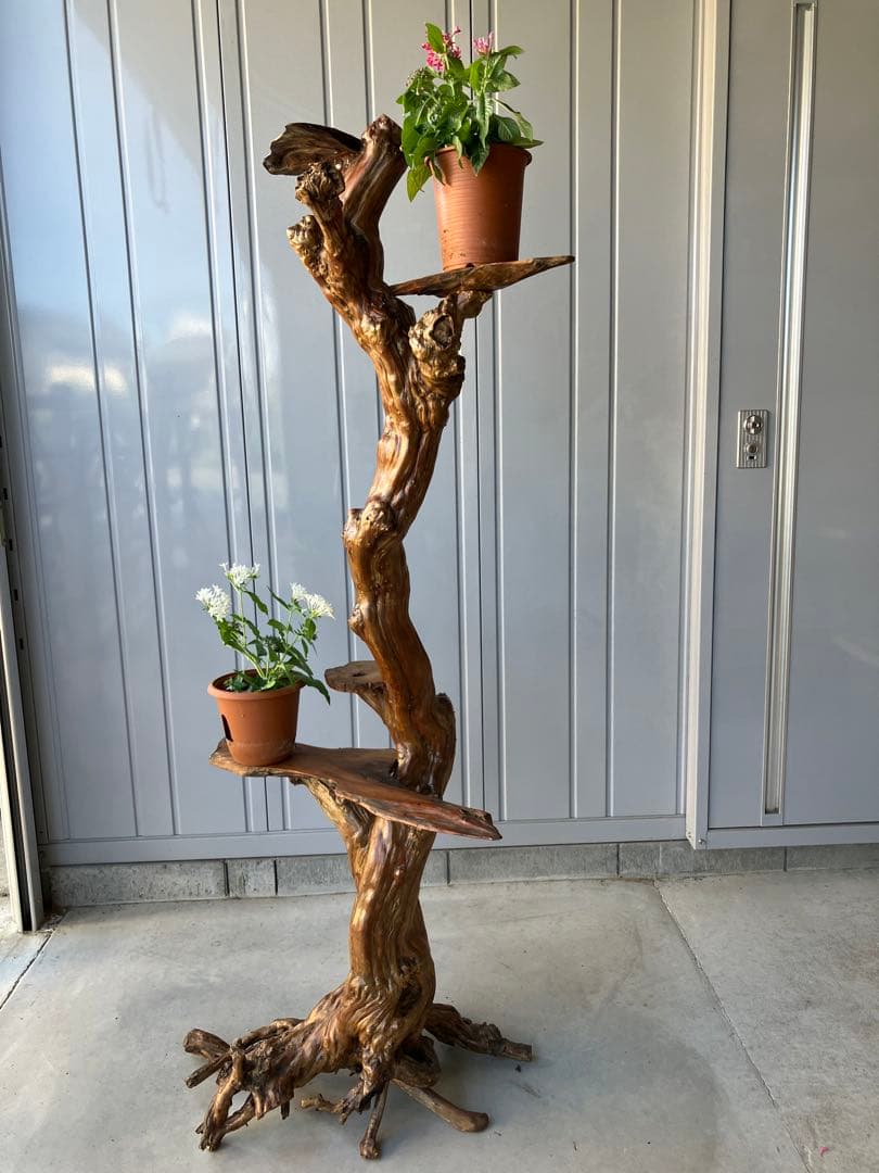 流木飾り台、サルスベリ