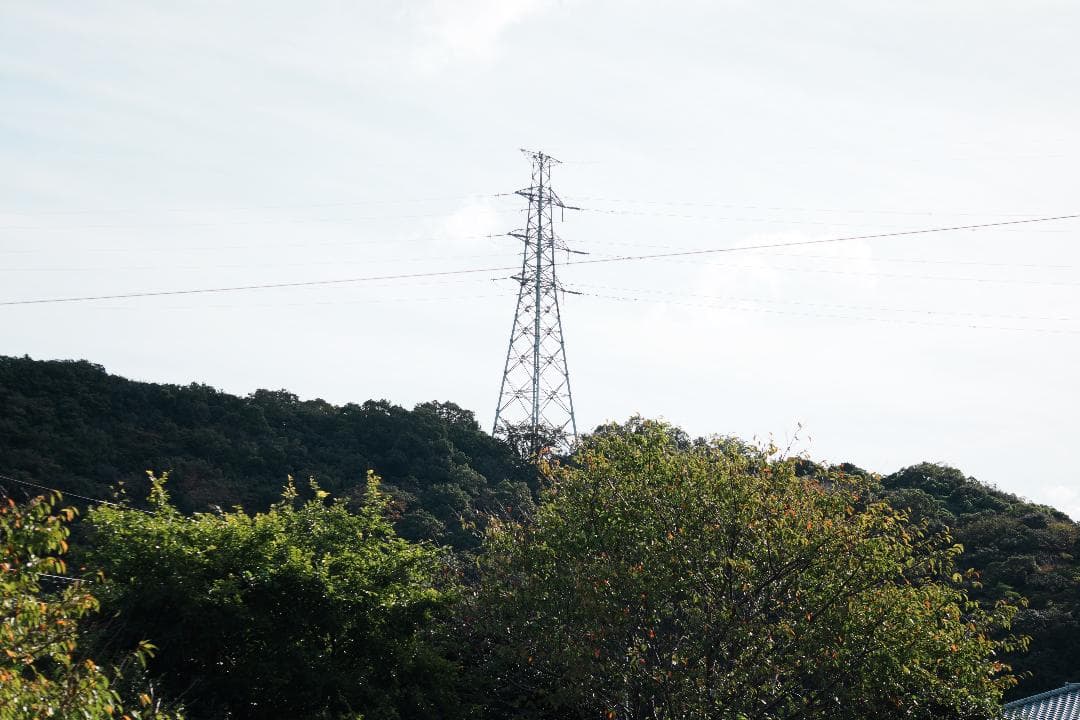 SONY SEL55210★自然な瞬間を切り取る望遠レンズ★運動会・スポーツに