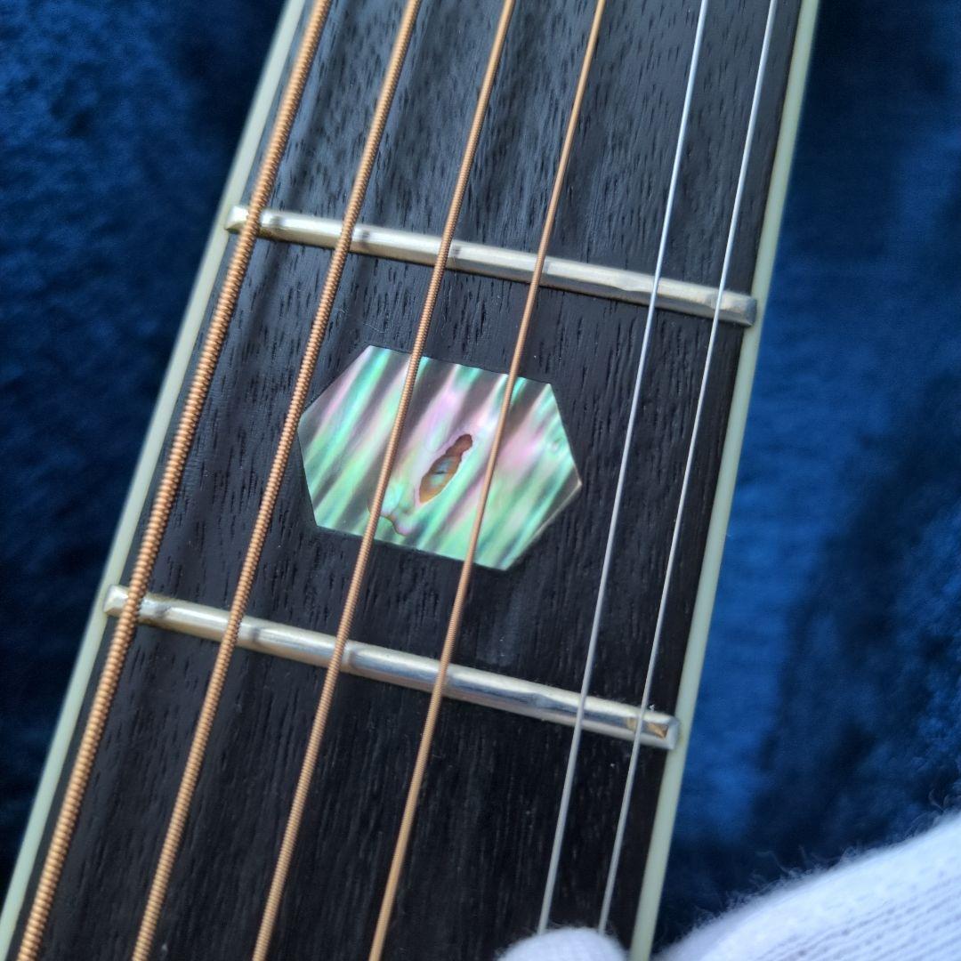 希少　新品弦　現状販売 MORRIS TF W-50 ハカランダモデル