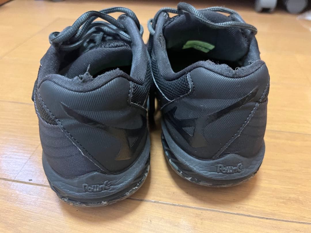 ミズノ BDSS 限定 ブラック バドミントン シューズ ウエーブクロー プロ