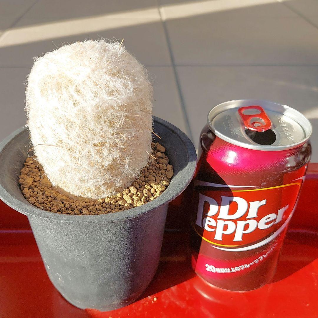 KiKi様 リクエスト 3点 まとめ商品