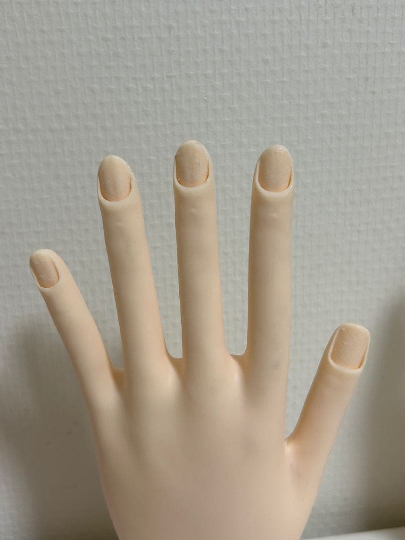JNEC認定モデルハンド　両手　骨折なし
