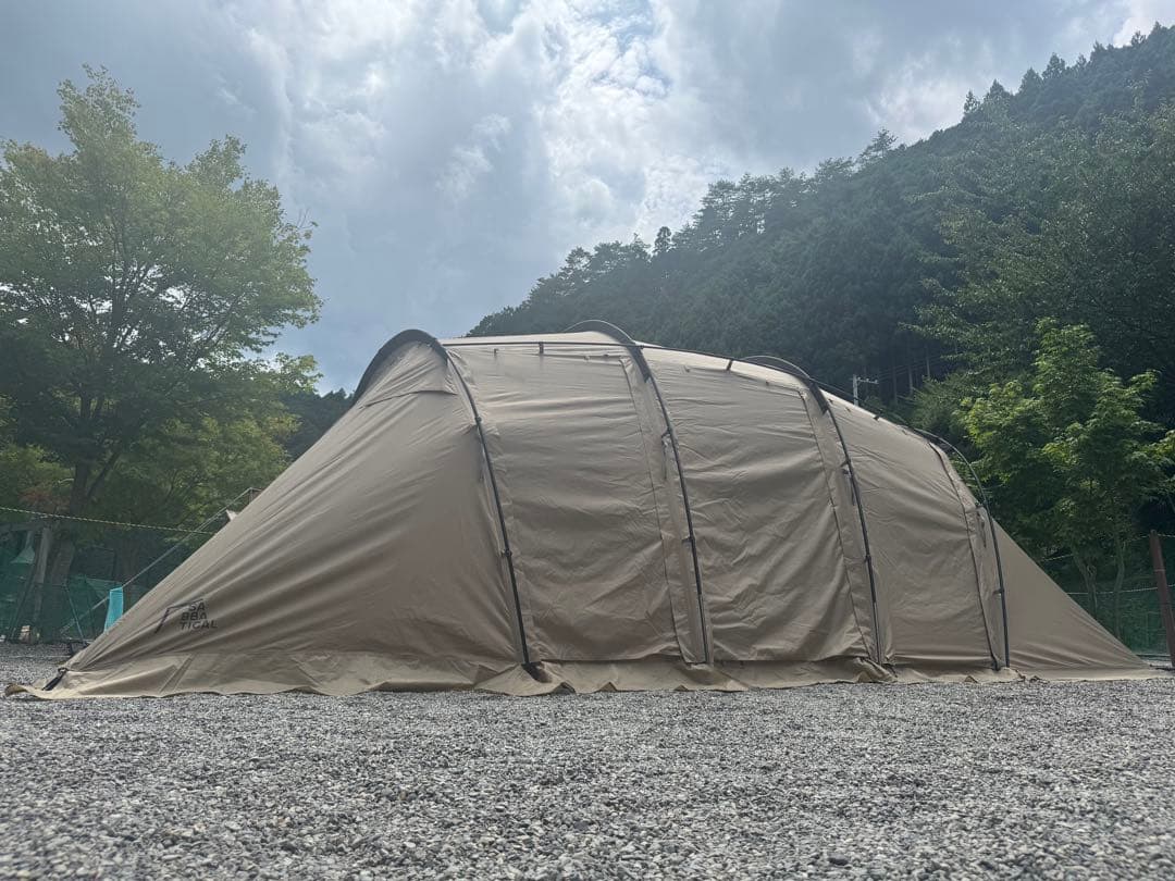 サバティカル　アルニカ　サンドストーン