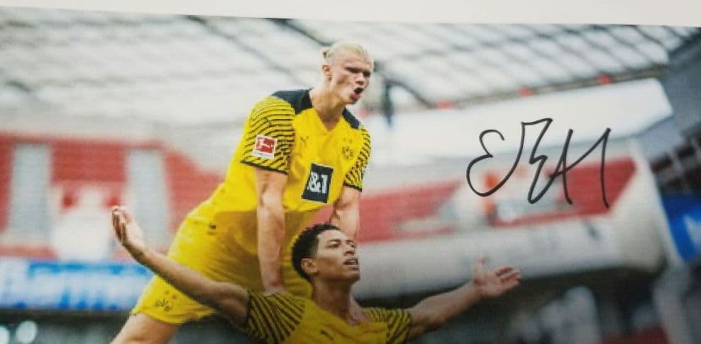 ハーランド　ベリンガム　直筆サイン　普通紙