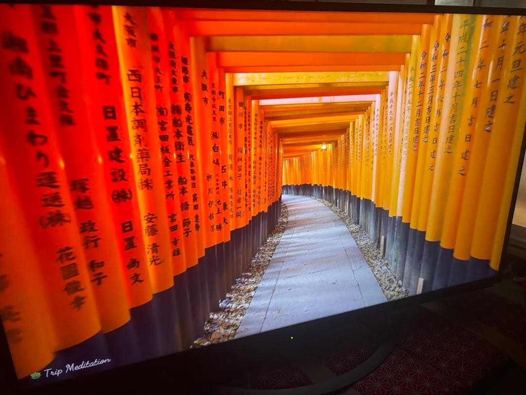 AQUOS 50インチ液晶テレビ　4T-C50AJ1美品