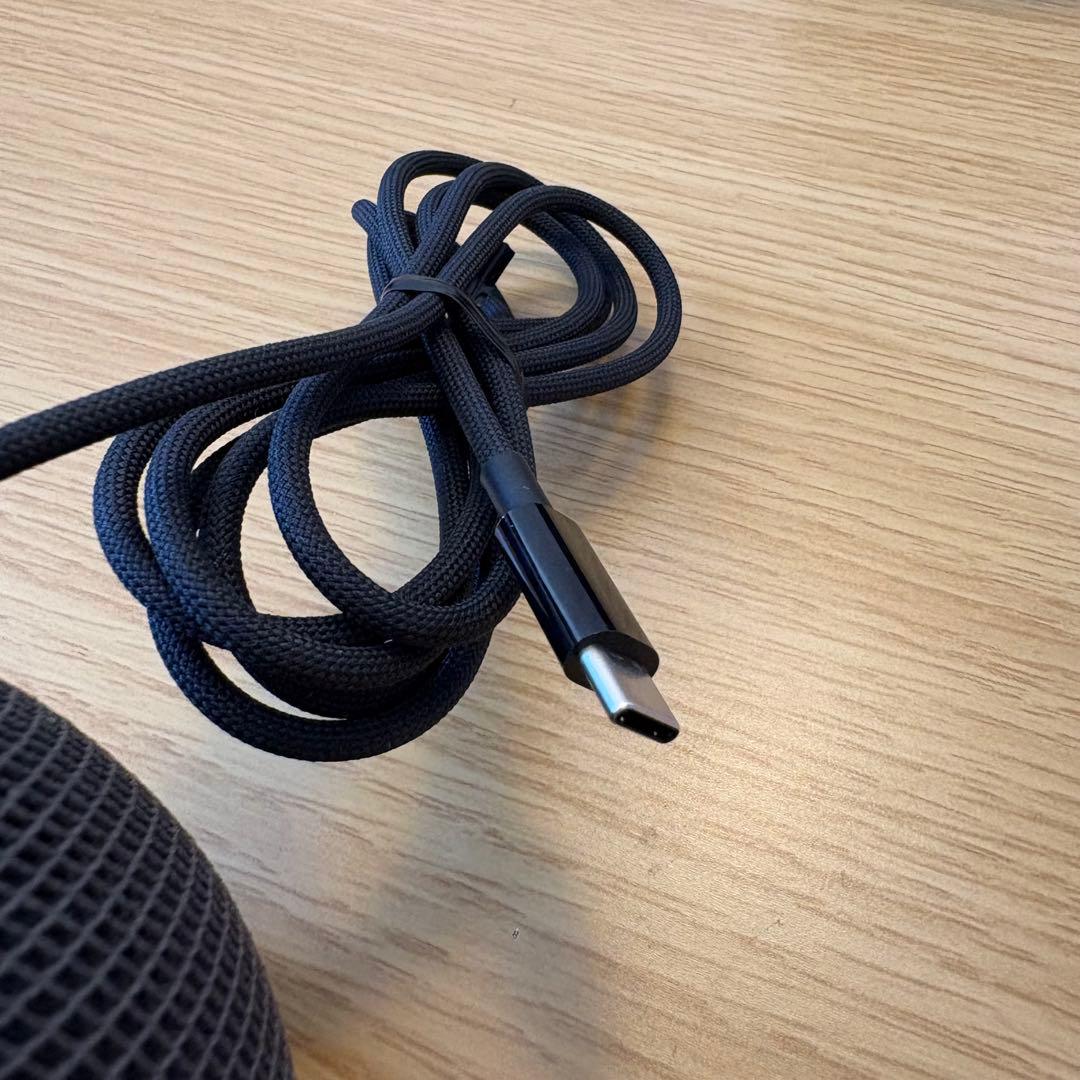 Apple pod mini ブラック MY5G2J/A 2台セット