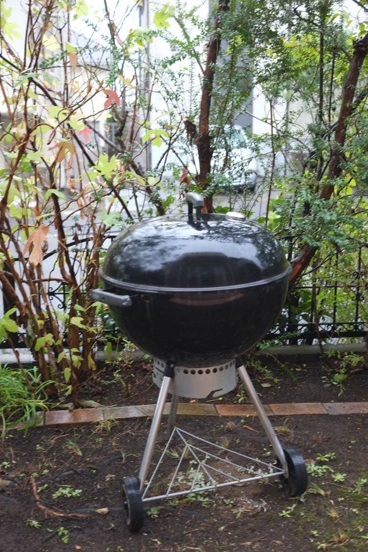 作例あり FUJIFILM X-PRO1 動作確認済 ミラーレス一眼 充電器付属